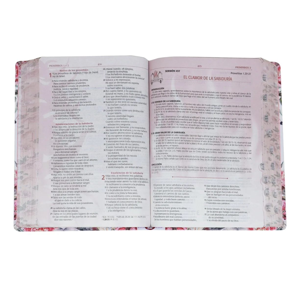 BIBLIA REINA VALERA 1960 PARA LA PREDICACIÓN  DE AVIVAMIENTO