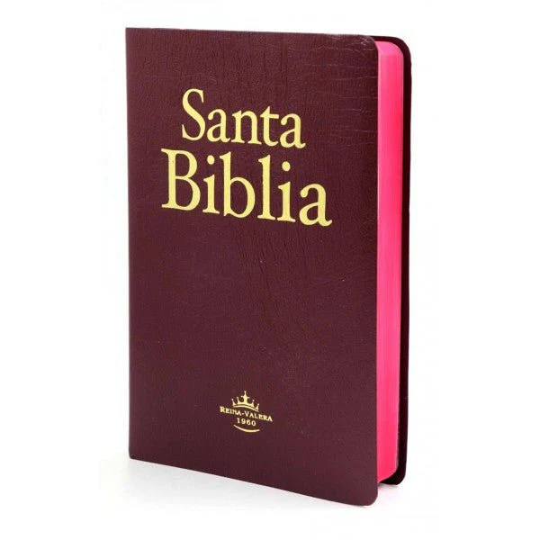 Santa Biblia Reina Valera 1960 Imitación Piel