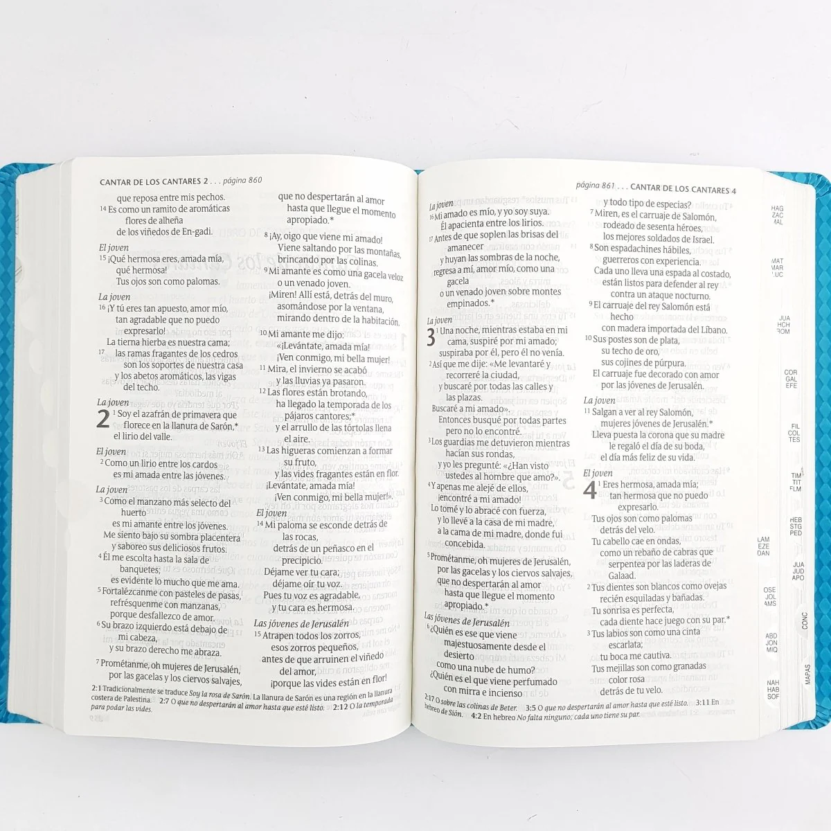 Santa Biblia NTV Edición personal con índice Turquesa