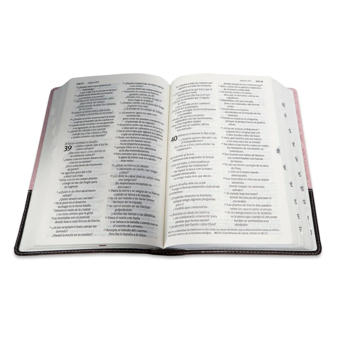 SANTA BIBLIA NTV LETRA GRANDE  EDICION PERSONAL/ SENTIPIEL ROSA INDICE