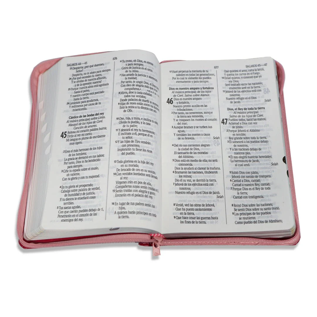 BIBLIA REINA VALERA 1960 LETRA GRANDE PALABRAS DE JESUS EN ROJO C/CIERRE INDICE ROSA FUCSIA
