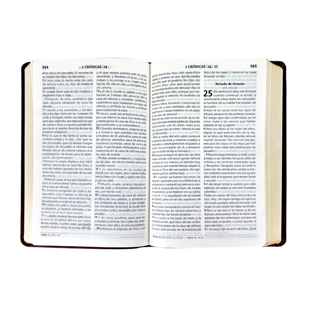 BIBLIA REINA VALERA 1960 LETRA GRANDE IMITACION PIEL VINO