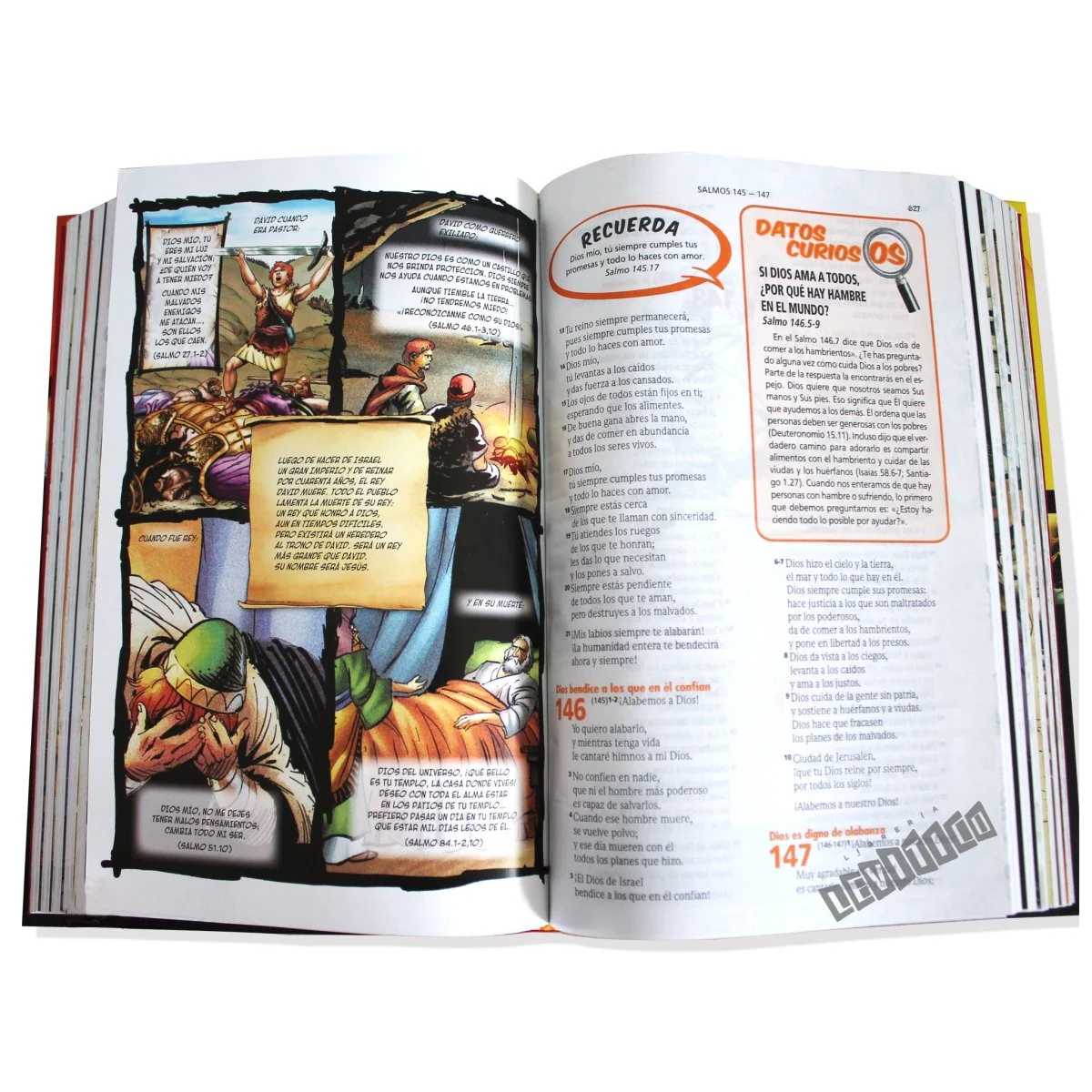 Biblia de estudio en acción