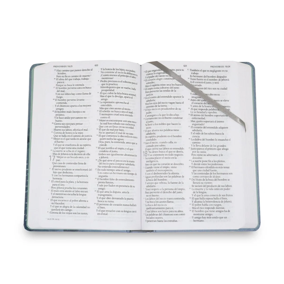 BIBLIA REINA VALERA 1960 LETRA GRANDE MANUAL REY DE REYES /GRIS