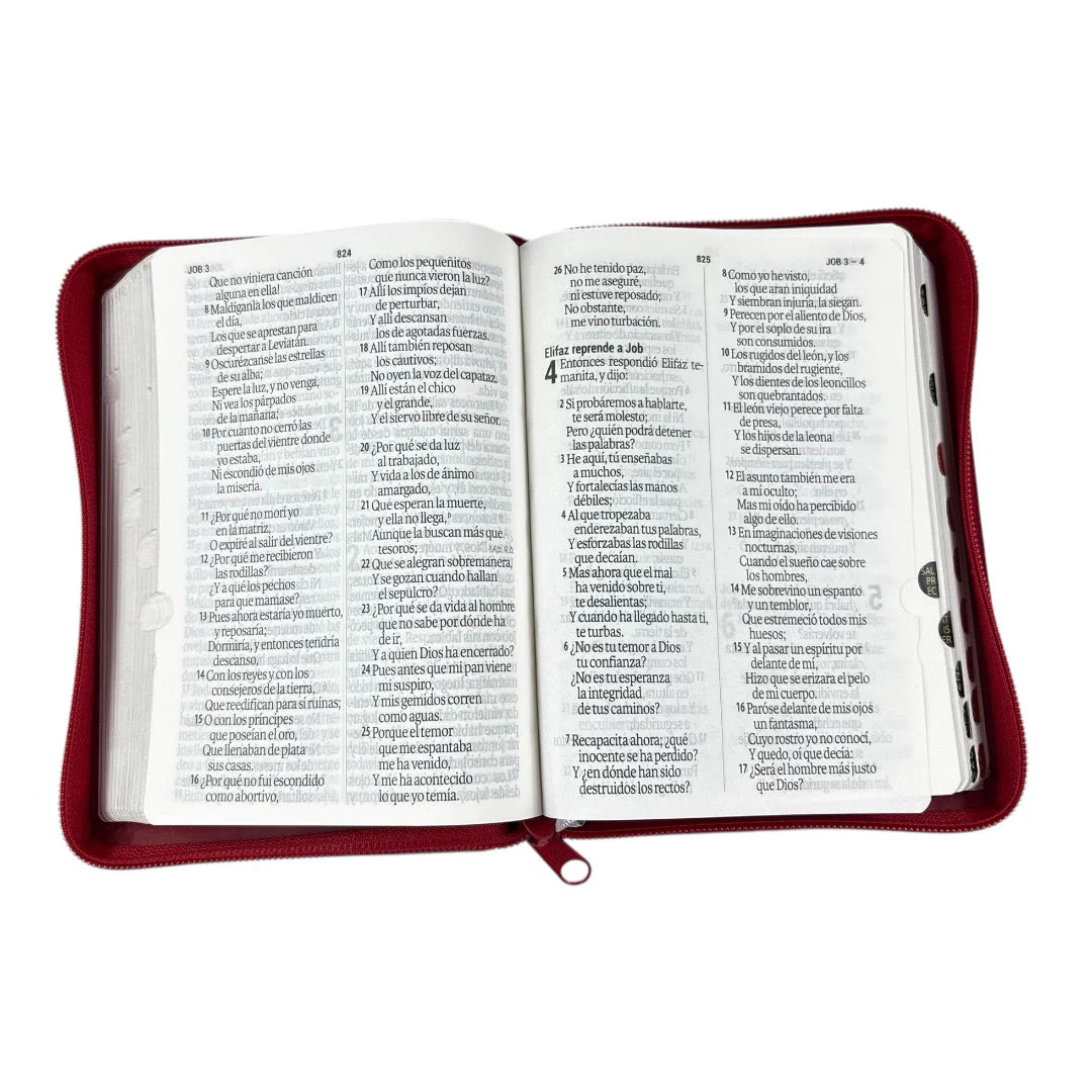 BIBLIA REINA VALERA 1960 COMPACTA  IMITACION PIEL/ ROJO