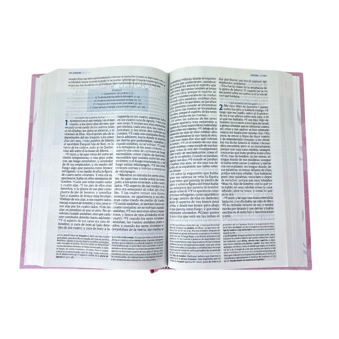 BIBLIA DE ESTUDIO PERDÓN Y RESTAURACIÓN TAPA DURA