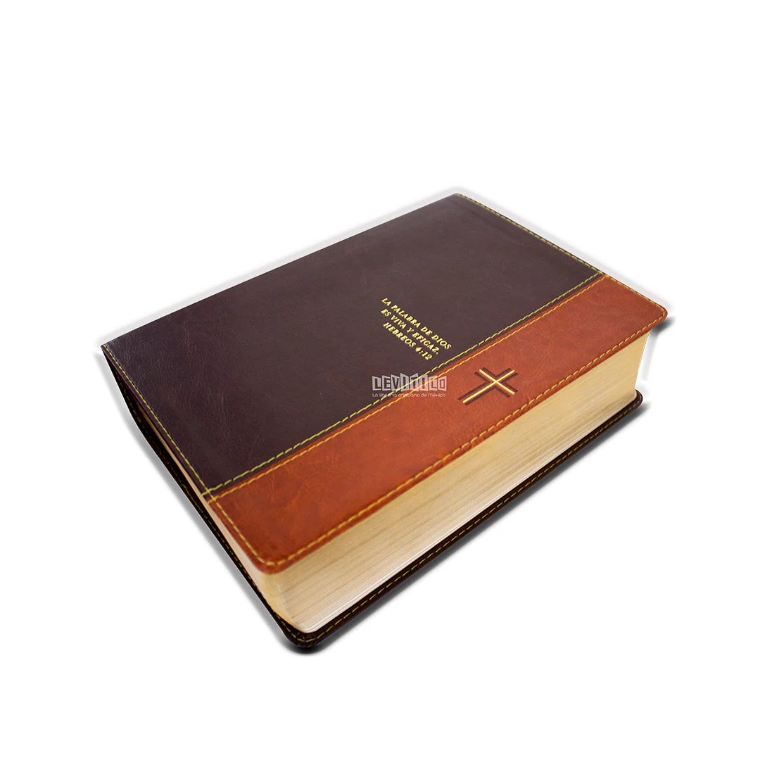 Biblia de estudio Diario Vivir RVR1960 Letra grande Sentipiel Café