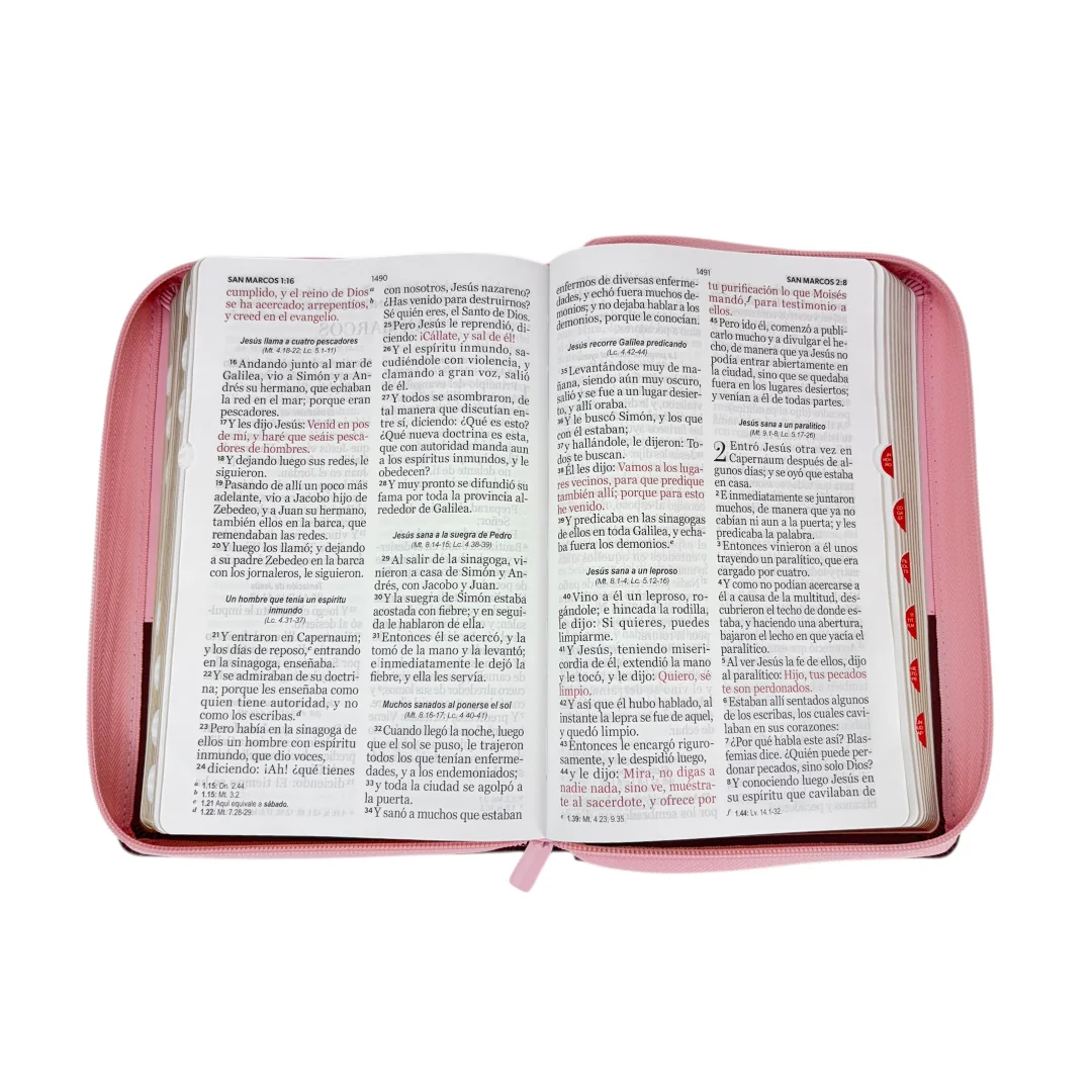 BIBLIA REINA VALERA 1960 LETRA GIGANTE CANTO DORADO CAFE/ROSA MARIPOSAS