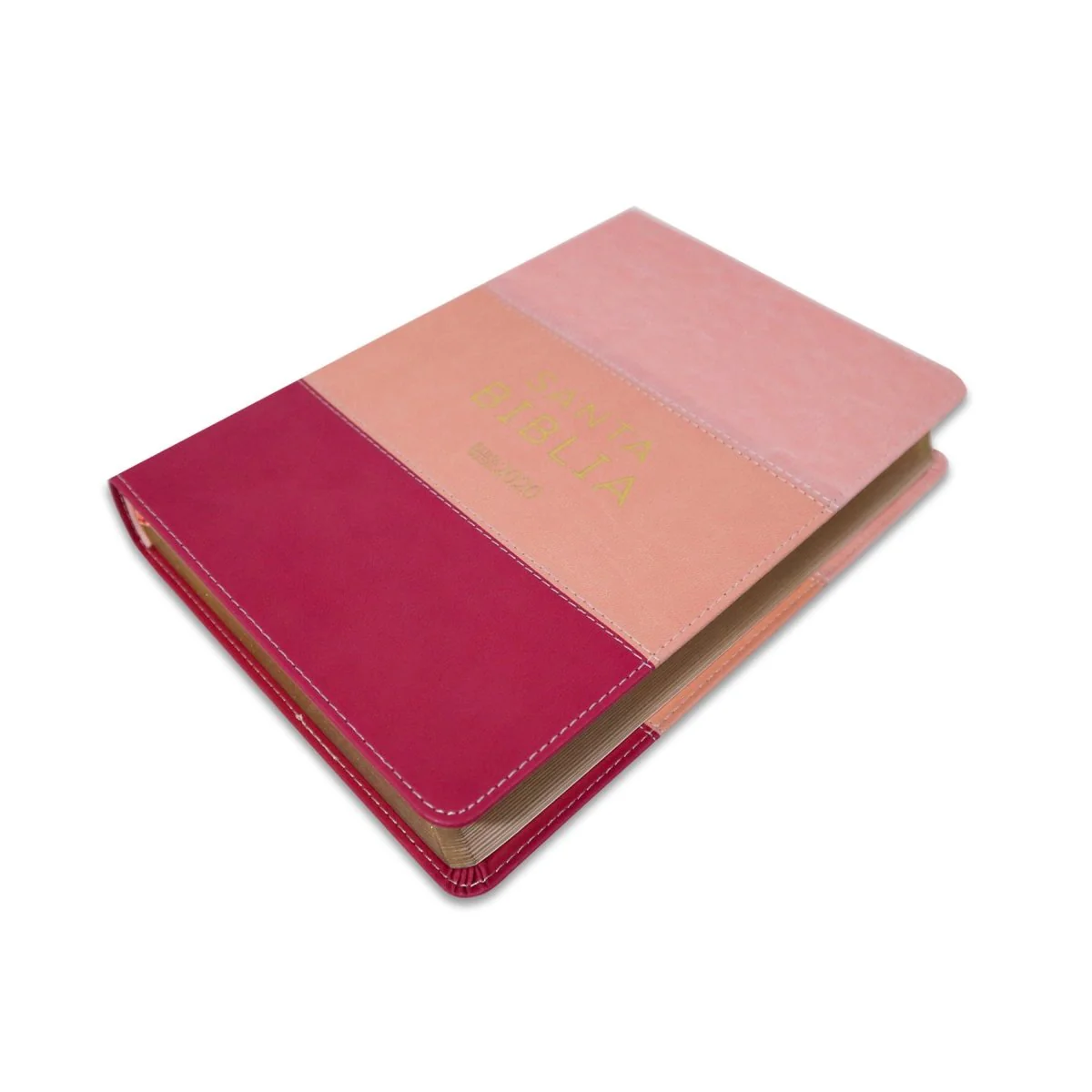 SANTA BIBLIA REINA VALERA 2020       (4 colores)