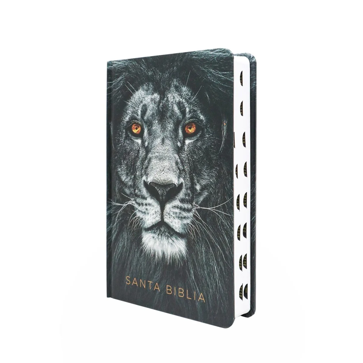 BIBLIA REINA VALERA 1960 LETRA GRANDE LEON DE JUDA/INDICE