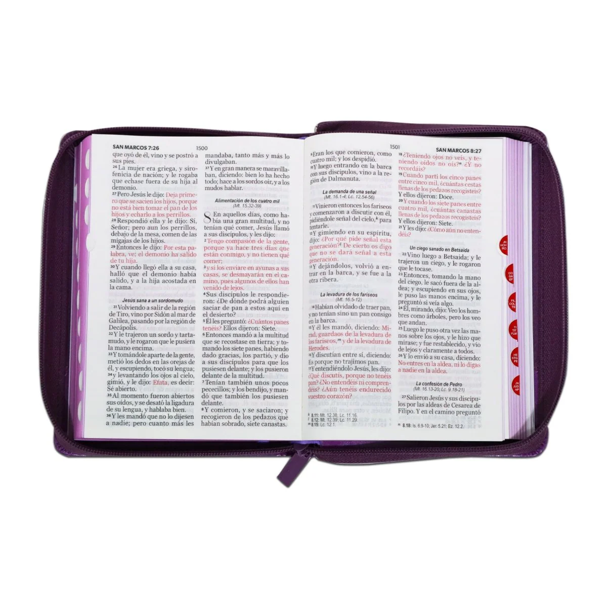 BIBLIA REINA VALERA 1960 COMPACTA LETRA GRANDE JEAN CIERRE/INDICE