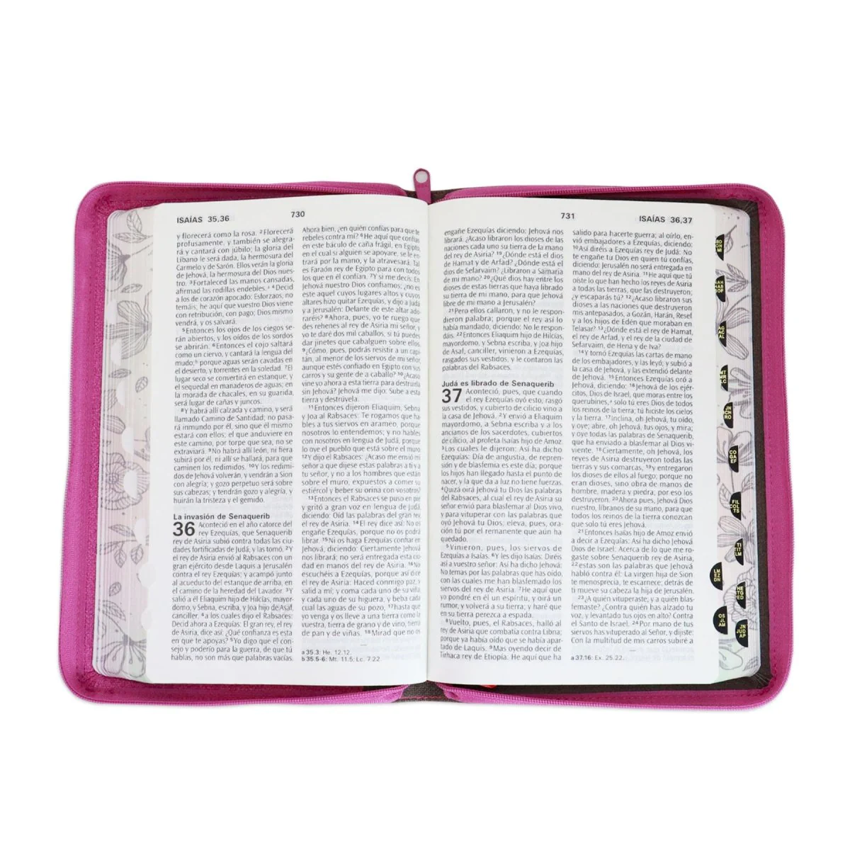 BIBLIA REINA VALERA 1960 MANUAL  IMIT PIEL LETRA GRANDE ROSA/MARRON