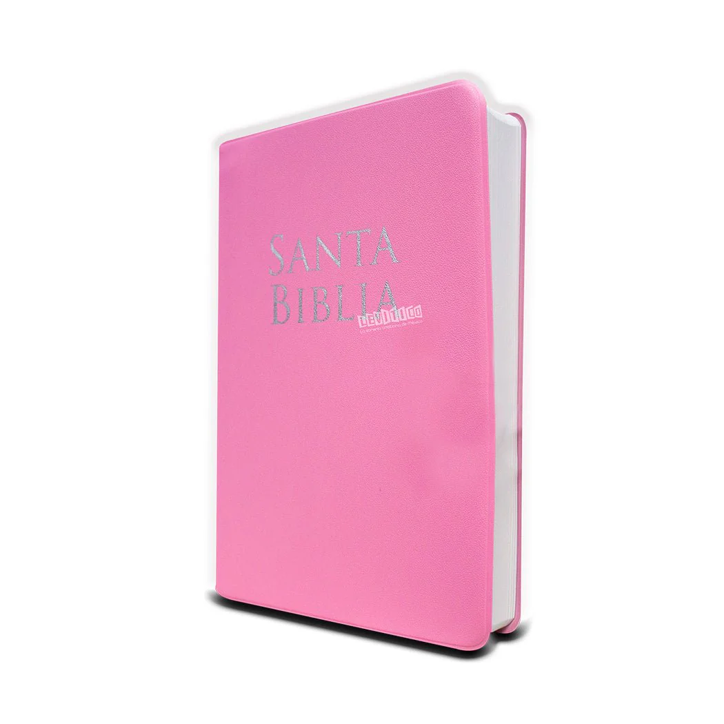 Biblia Reina Valera 1960  Letra Grande Tamaño Manual c/Referencias vinil