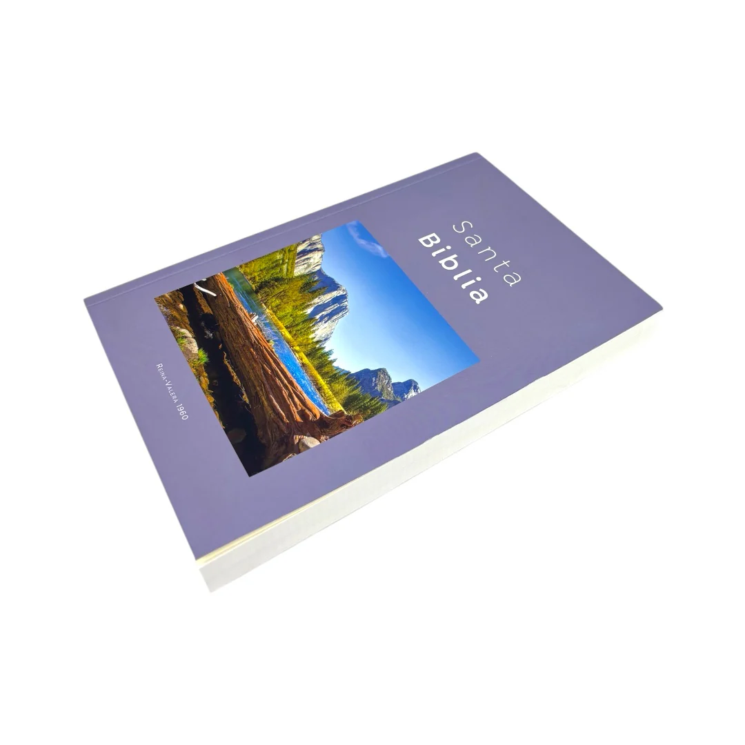 BIBLIA REINA VALERA 1960 ECONOMICA RUSTICA DISEÑOS