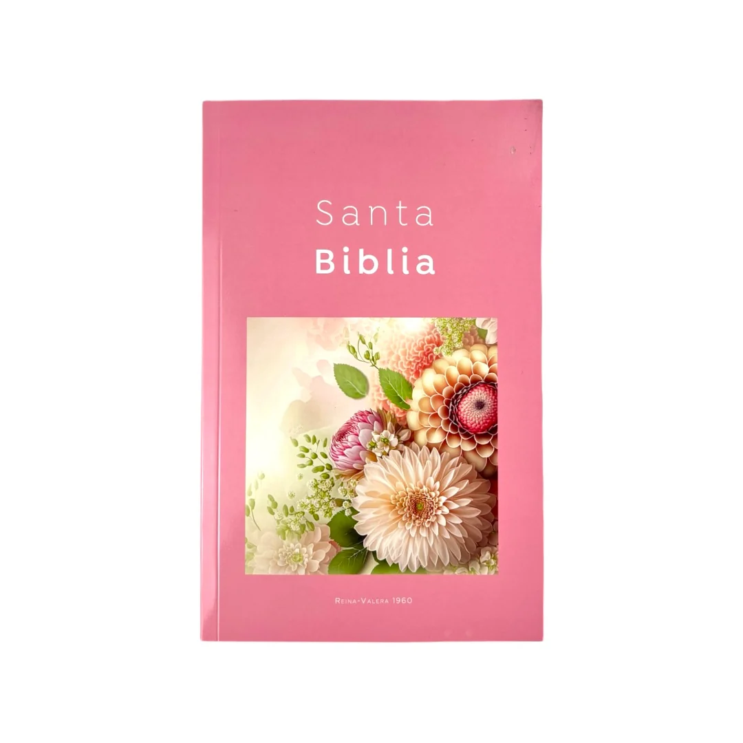BIBLIA REINA VALERA 1960 ECONOMICA RUSTICA DISEÑOS