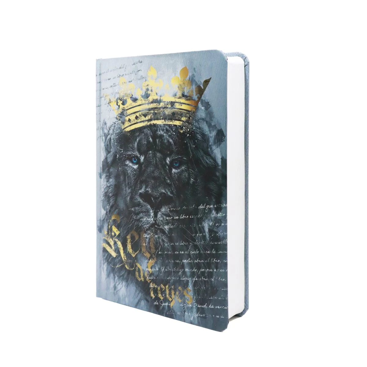 BIBLIA REINA VALERA 1960 LETRA GRANDE MANUAL REY DE REYES /GRIS