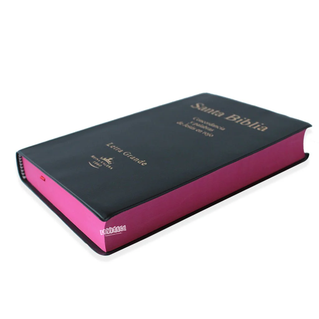 Santa Biblia RVR1960 Letra grande Vinil