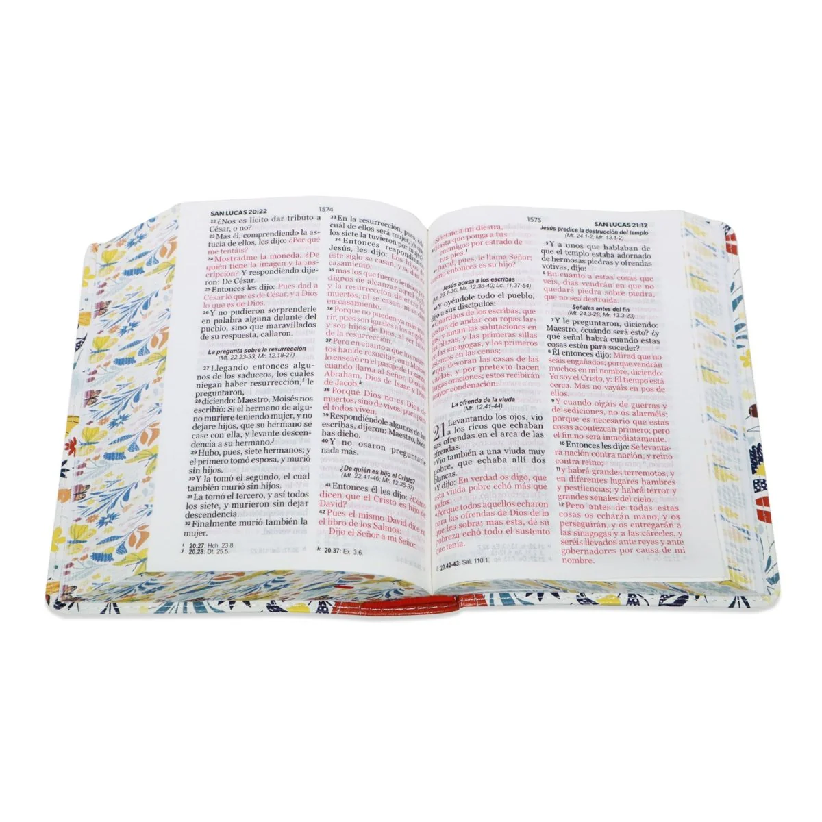 BIBLIA REINA VALERA 1960 LETRA GRANDE COMPACTA/ CANTO PINTADO