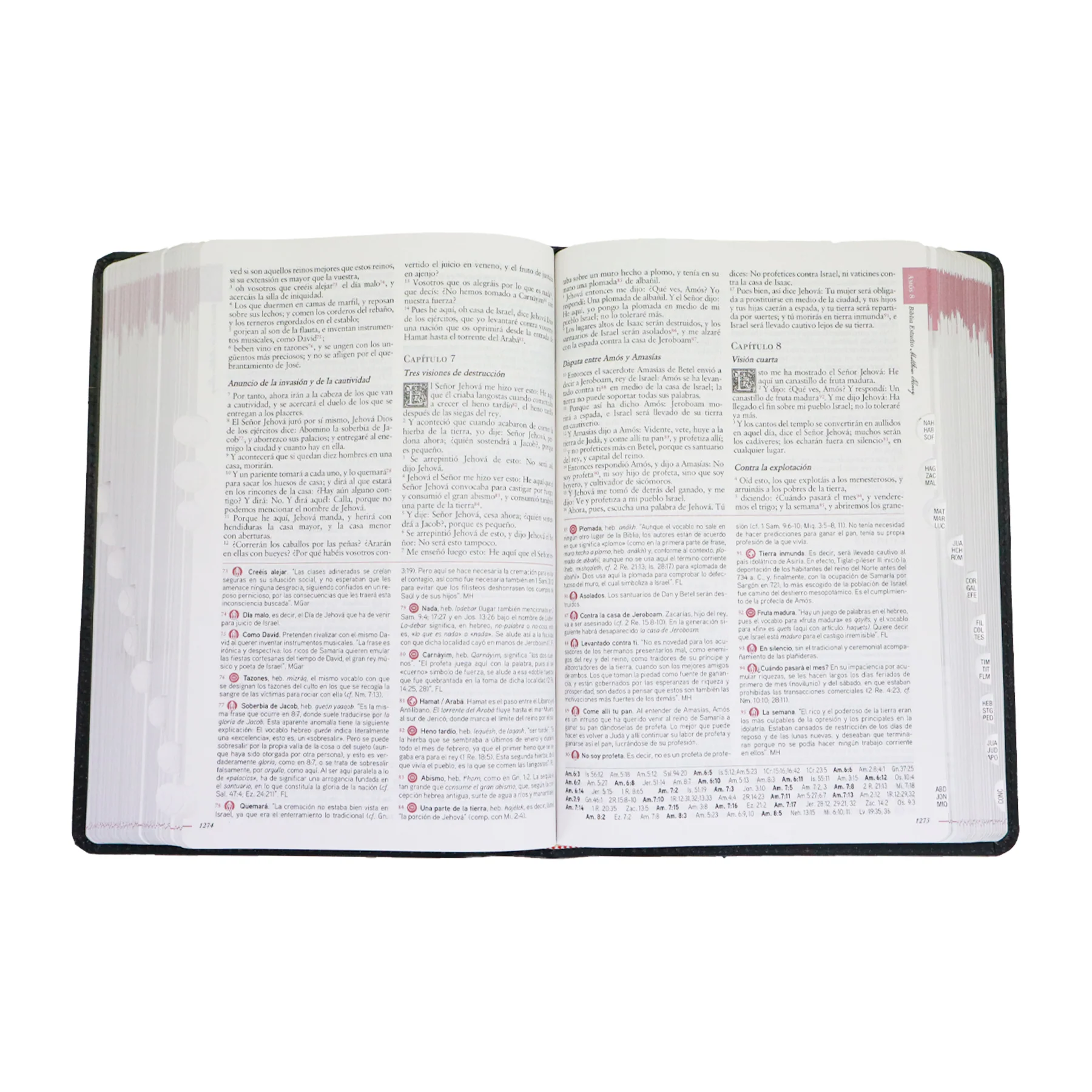 BIBLIA DE ESTUDIO MATTHEW HENRY PIEL FABRICADA NEGRO/INDICE