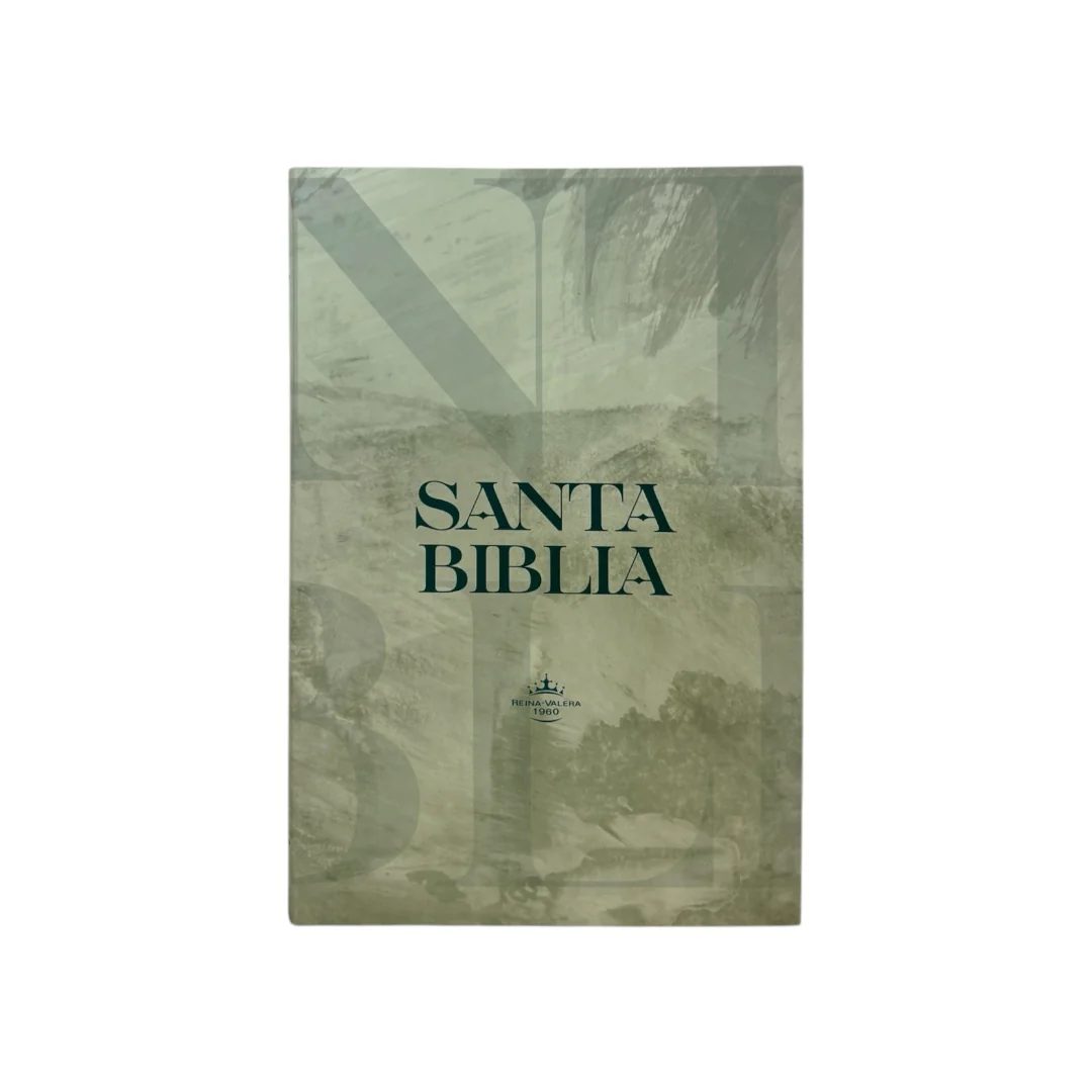 biblia reina valera 1960 letra mediana tapa flexible gris