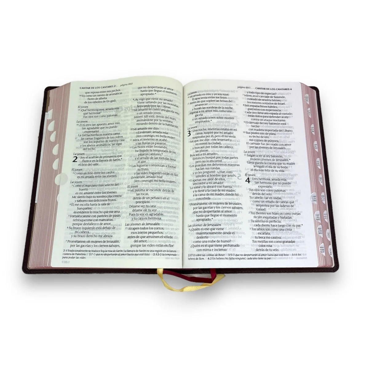 Santa Biblia NTV edición clásica letra gigante i/piel vino con índice