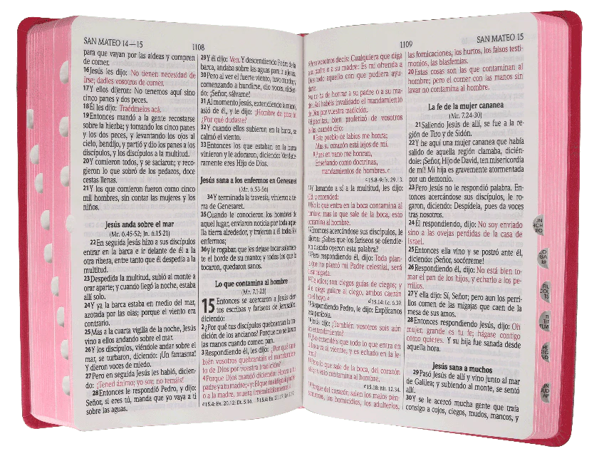 Santa Biblia RVR1960 Letra grande Fucsia Mariposa c/índice