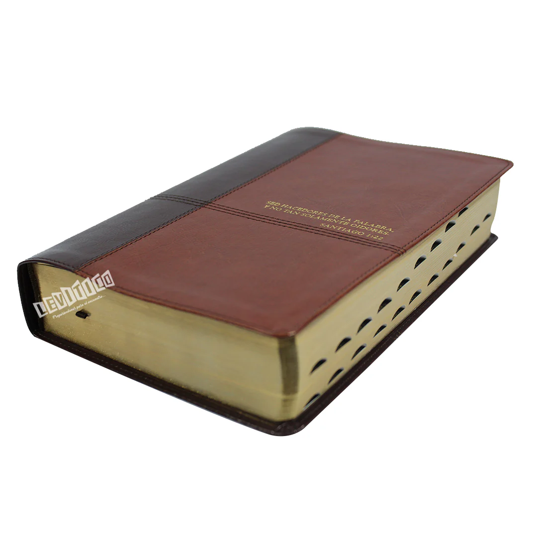 Biblia de estudio Diario vivir con índice (Semi piel café)