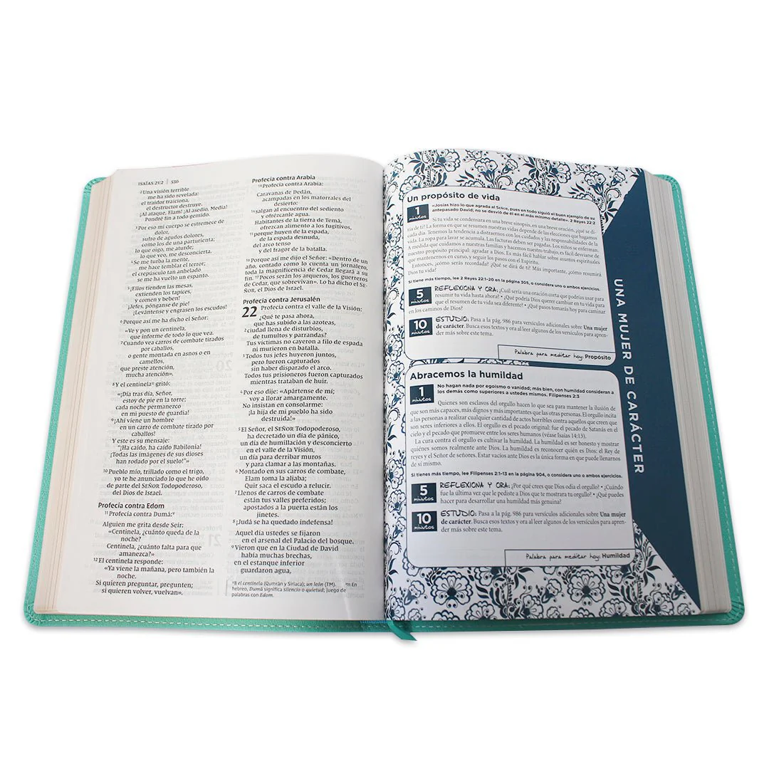 BIBLIA DE LA MAMÁ OCUPADA, TURQUESA NVI