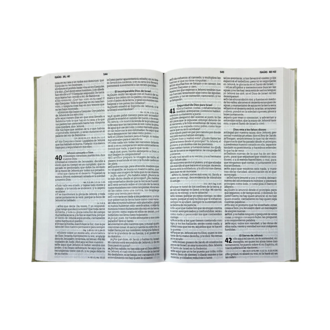 biblia reina valera 1960 letra mediana tapa flexible gris