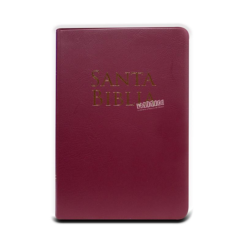 Biblia Reina Valera 1960  Letra Grande Tamaño Manual c/Referencias vinil