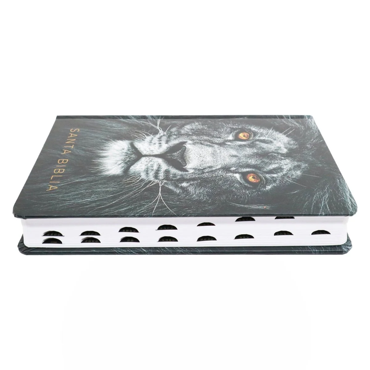 BIBLIA REINA VALERA 1960 LETRA GRANDE LEON DE JUDA/INDICE