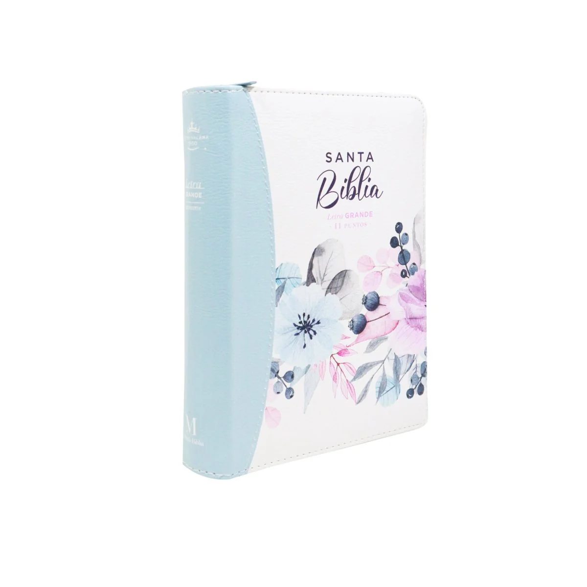 BIBLIA REINA VALERA 1960 LETRA GRANDE COMPACTA CIERRE  CANTO PINTADO