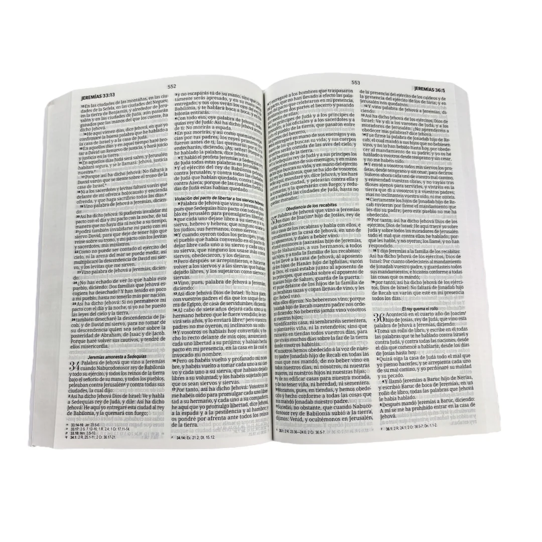 BIBLIA REINA VALERA 1960 ECONOMICA RUSTICA DISEÑOS