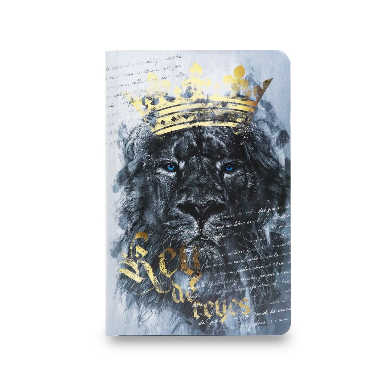 BIBLIA REINA VALERA 1960 LETRA GRANDE MANUAL REY DE REYES /GRIS