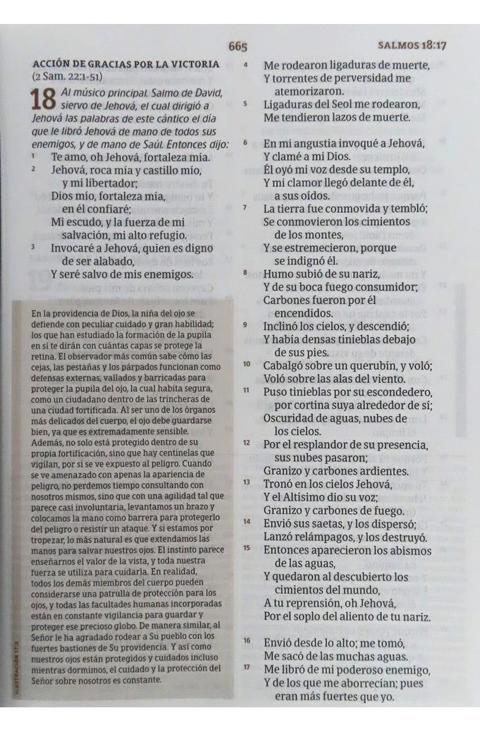 Biblia RVR 1960 de Estudio Spurgeon Marrón Claro Tela