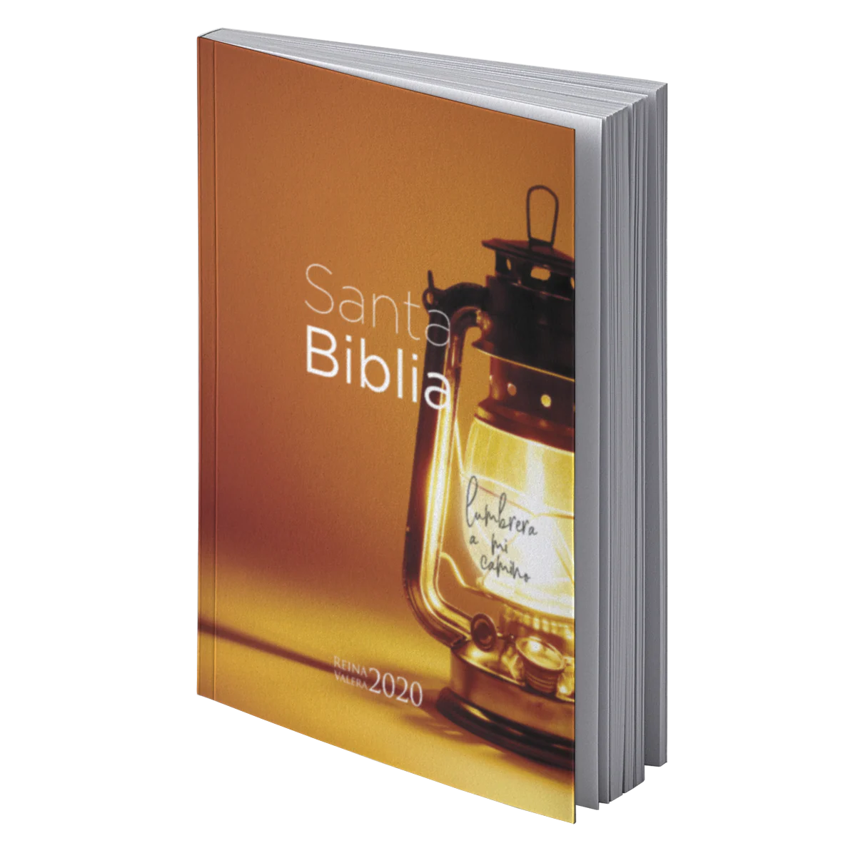 Biblia RVR 2020 Económica Lámpara Rústica