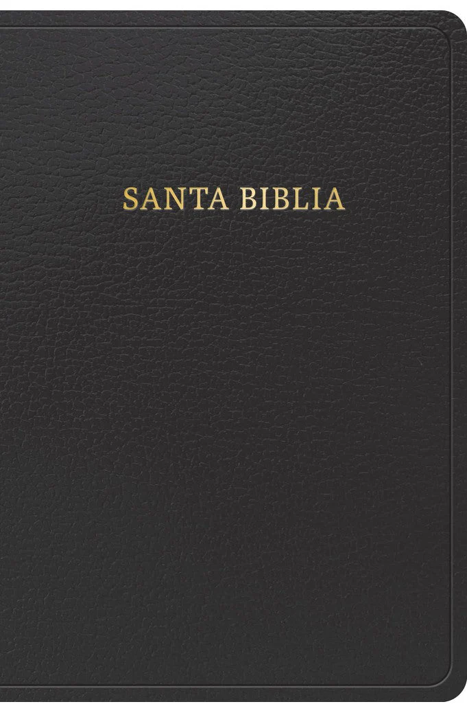 Biblia RVR 1960 Letra Grande Tamaño Manual Símil Piel Negra