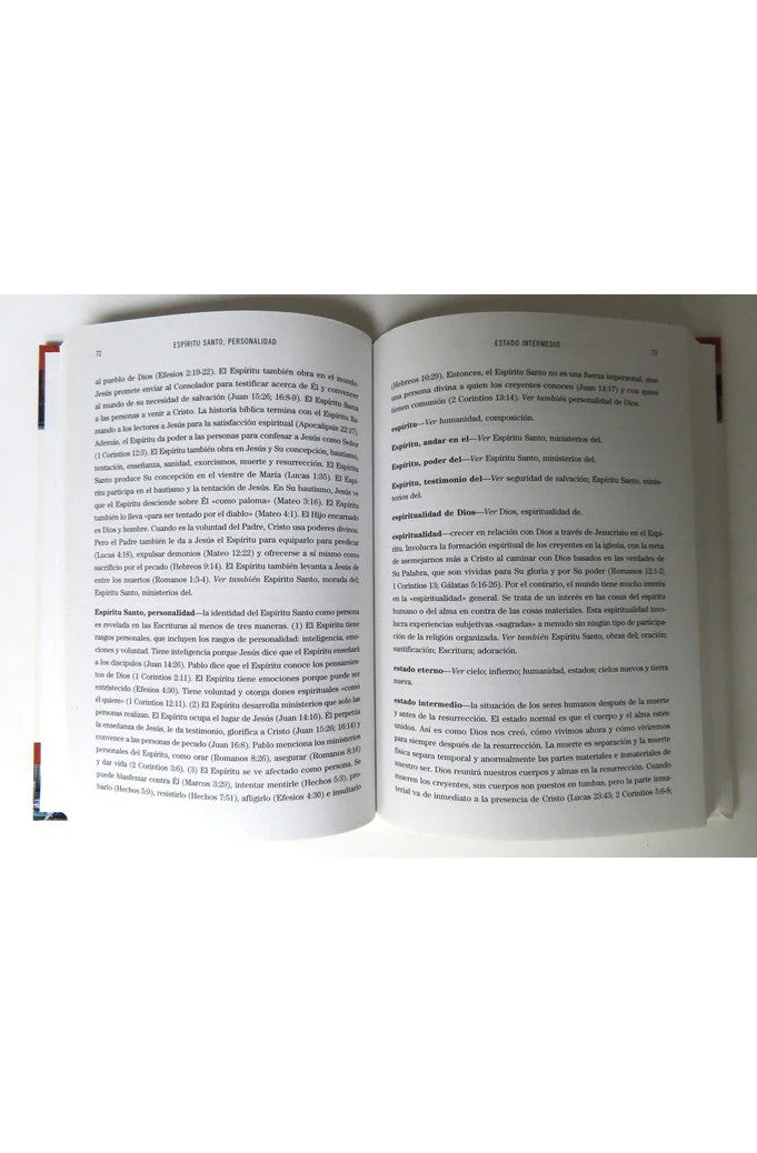 Diccionario Conciso de Términos Teológicos