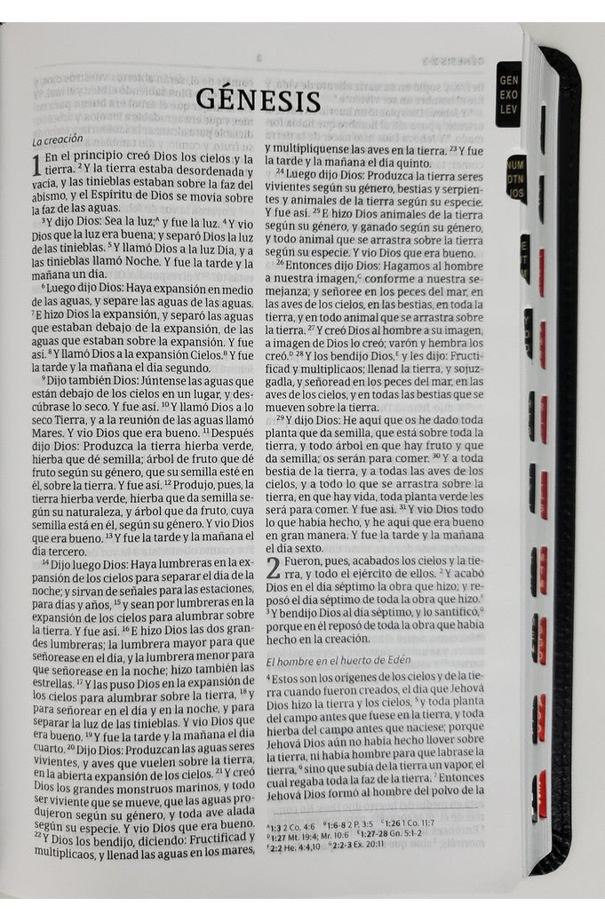 Biblia RVR 1960 Ultrafina Marrón Piel Fabricada con Índice