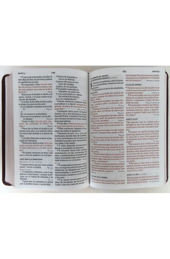 Biblia RVR 1960 Letra Grande Tamaño Manual Piel Marrón