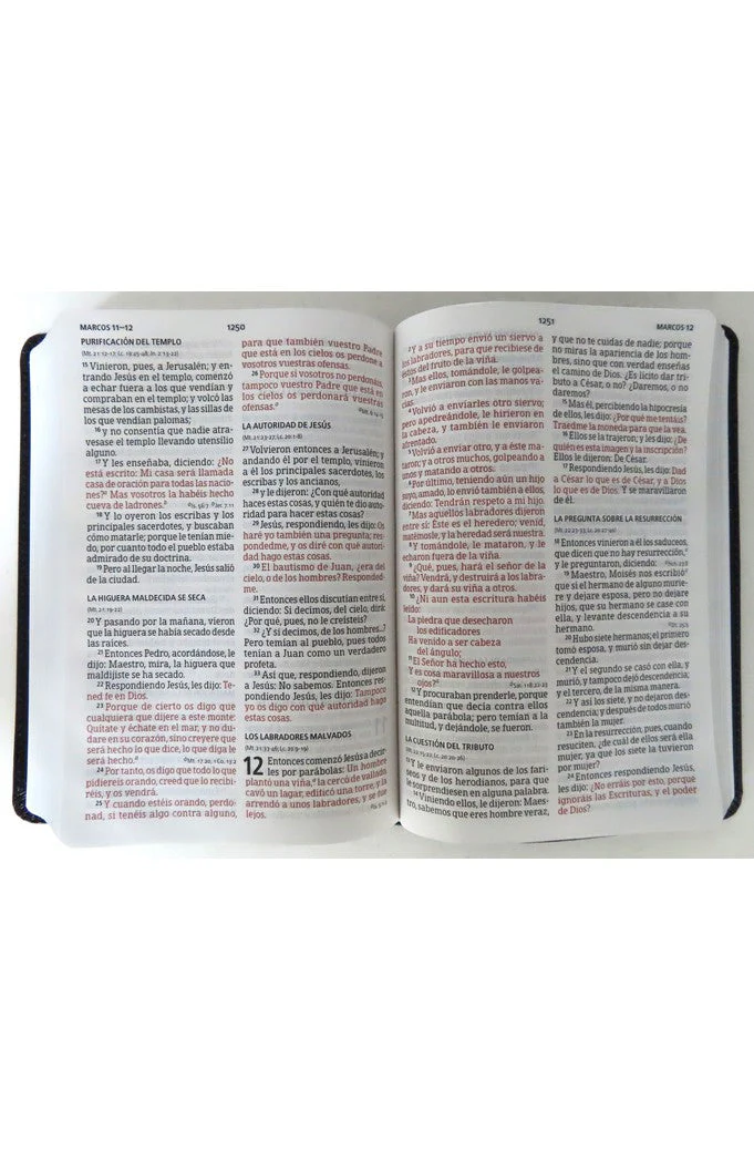 Biblia RVR 1960 Letra Grande Tamaño Manual Piel Fabricada Negro