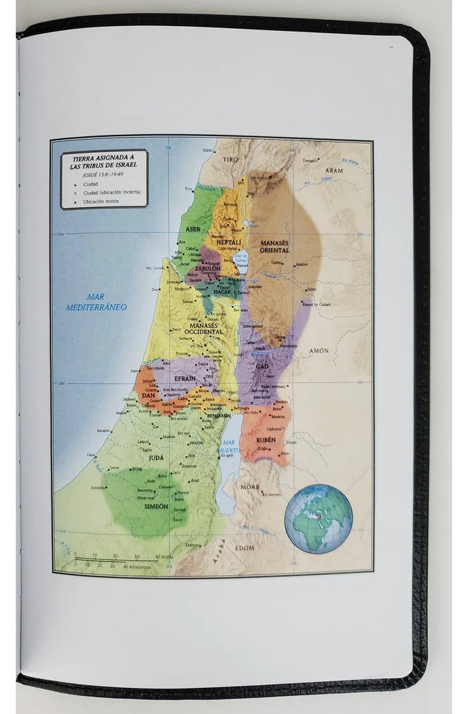 Biblia RVR 1960 Ultrafina Marrón Piel Fabricada con Índice