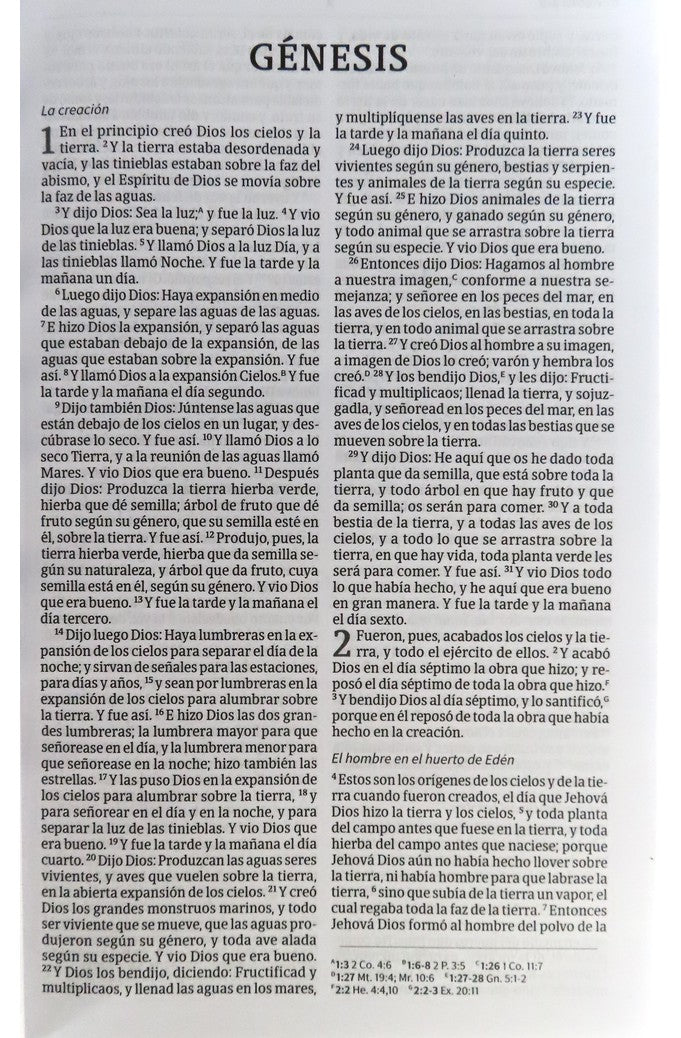 Biblia RVR 1960 Económica Azul Rústica