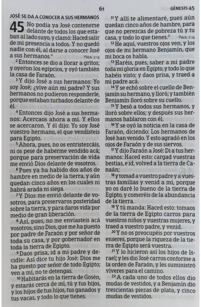 Biblia RVR 1960 Letra Súper Gigante Borgoña Símil Piel