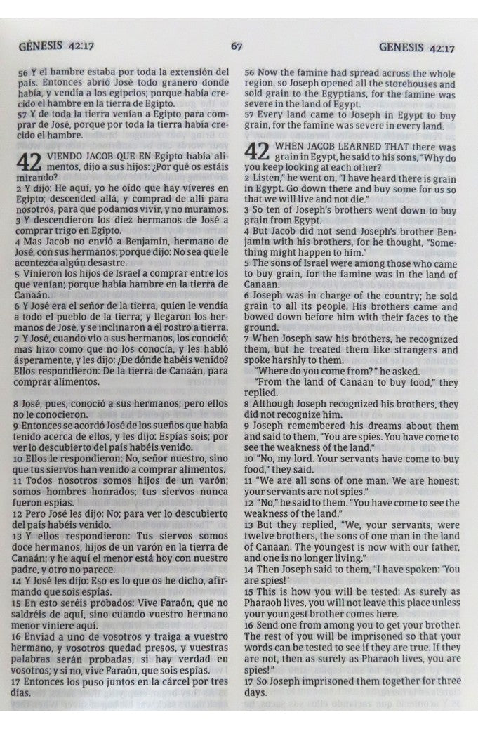 Biblia RVR 1960 CSB Bilingüe Negro Símil Piel