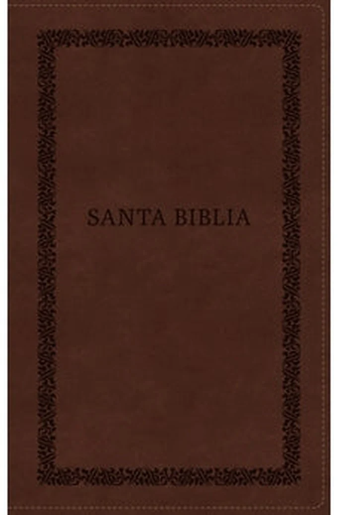 Biblia RVR 1960 Ultrafina Tierra Santa Letra Grande Símil Piel Café con Cierre