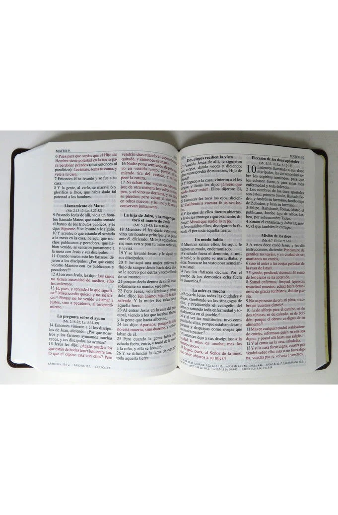 Biblia RVR 1960 Letra Grande Marrón