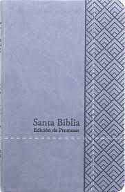 Biblia RVR 1960 Letra Grande Tamaño Manual Gris Símil Piel