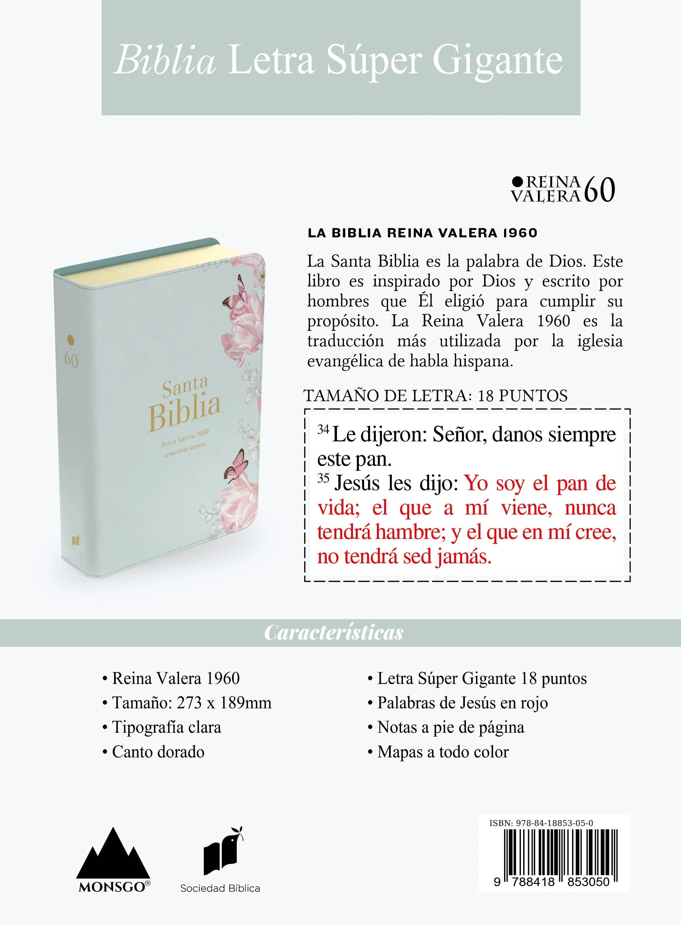 Biblia RVR 1960 Letra Súper Gigante Símil Piel Salvia Claro