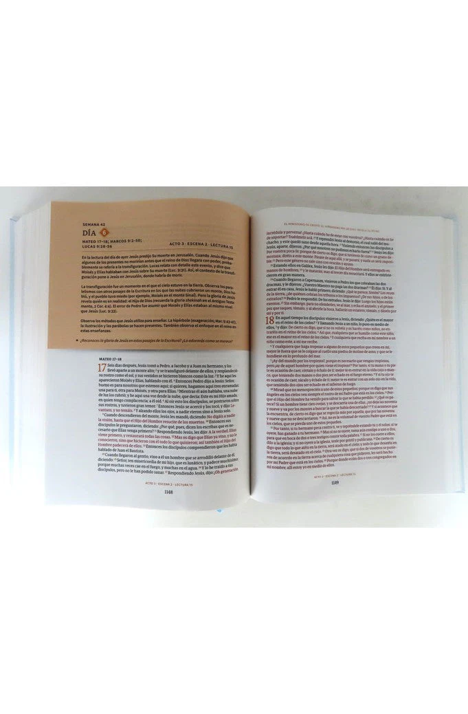 Biblia RVR 1960 Cronologica Día por DíaTapa Dura